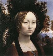 Leonardo Da Vinci Portrait of Ginevra de Benci oil painting